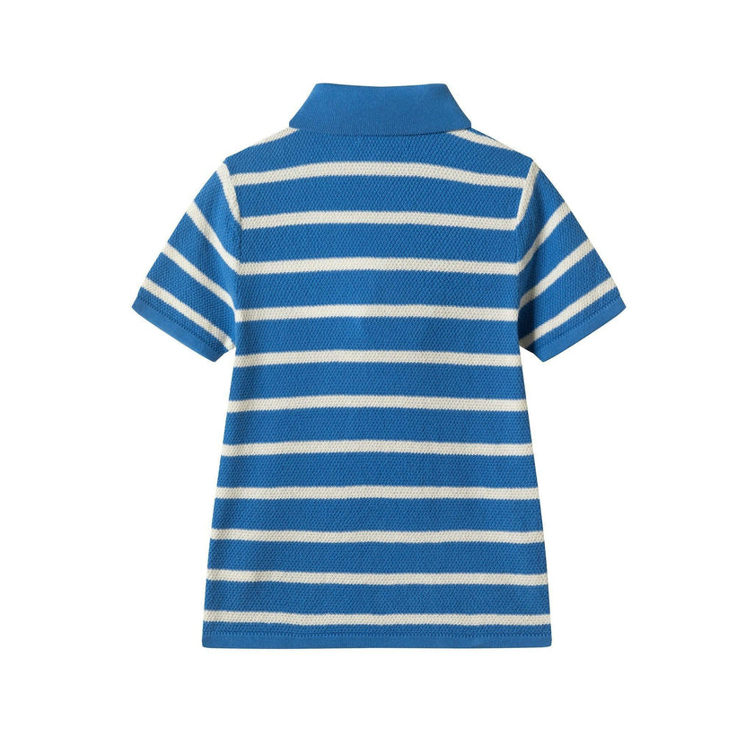 Boys Short Sleeve Polo Knit | Blue Stripe