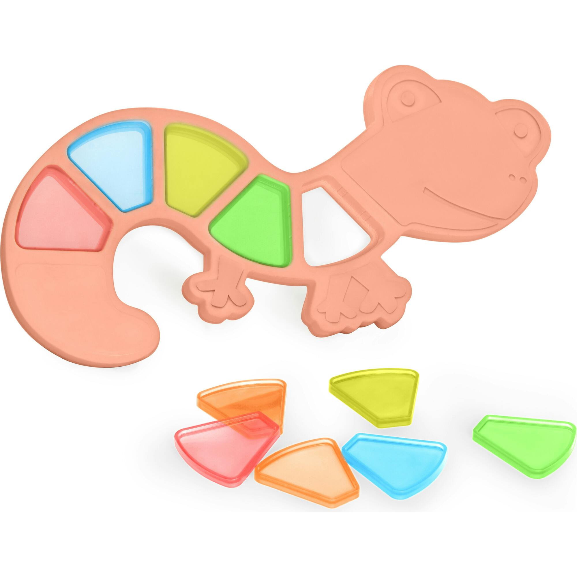 Feel to Learn: Translucent colorful Lizard
