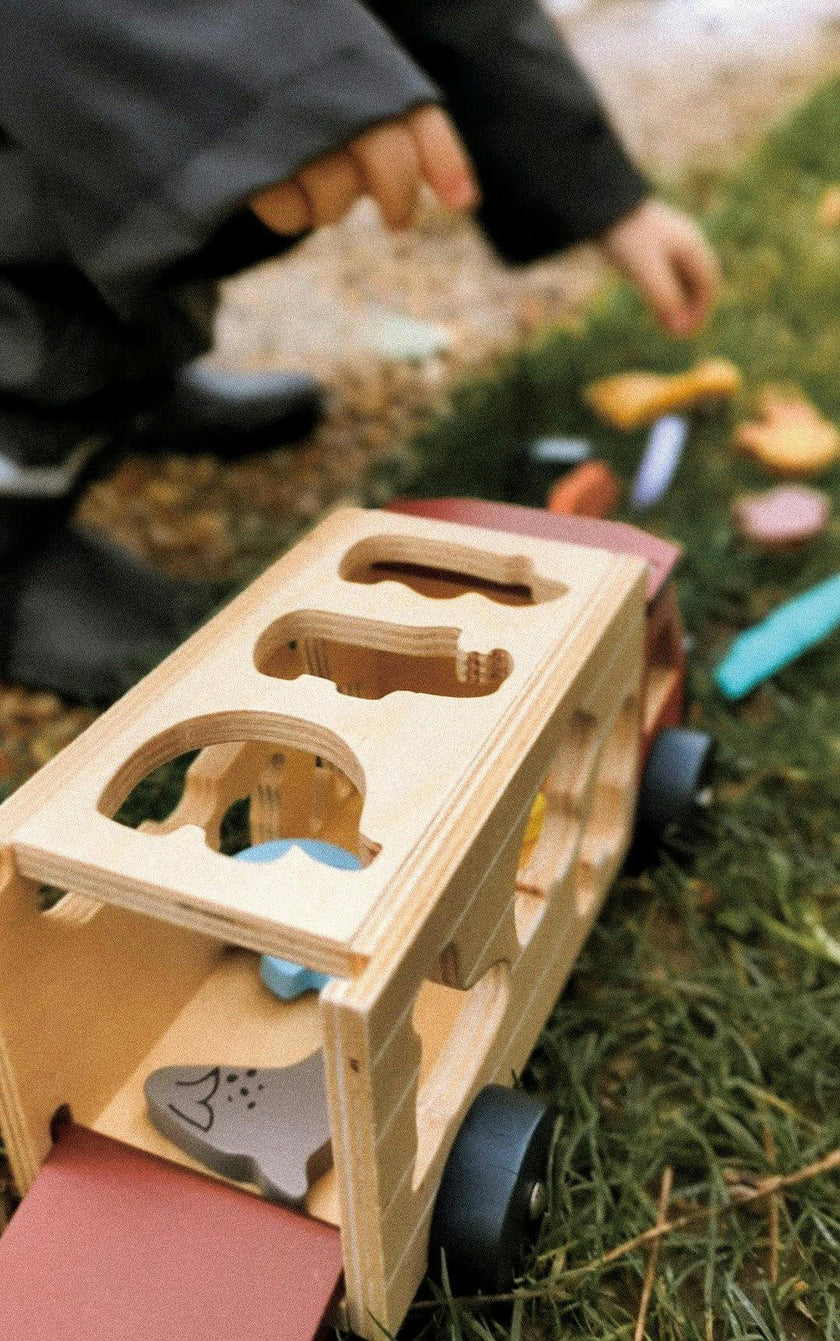 Shape Sorting Safari Truck
