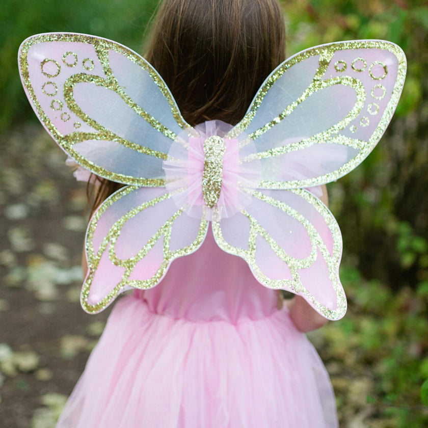 Sequins Butterfly Dress & Wings