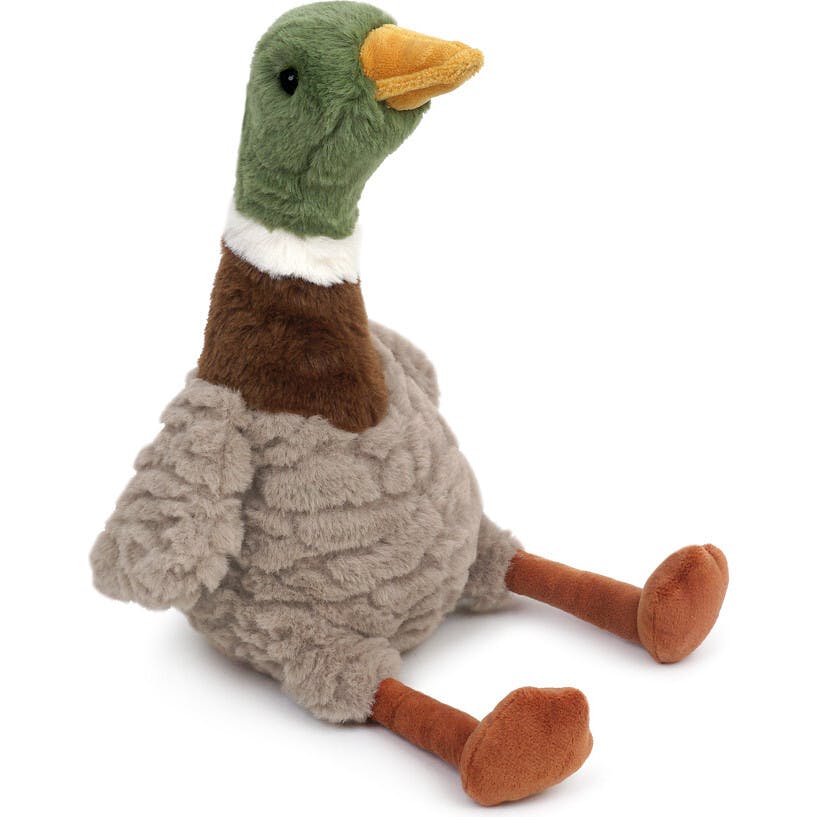River Mallard Duck