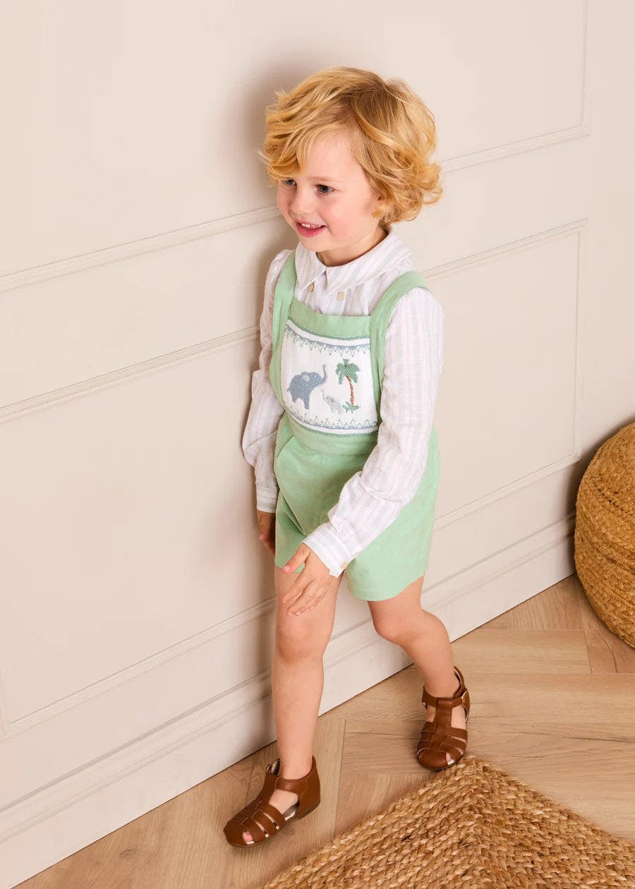 Hampton Stripe Button Detail Long Sleeve Shirt in Green (12mths-3yrs)