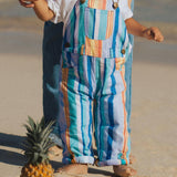 Kingfisher Cotton Overalls