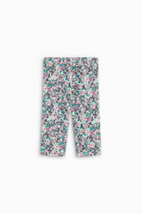 TNS Logo Rib Baby Legging Special Ashby Print