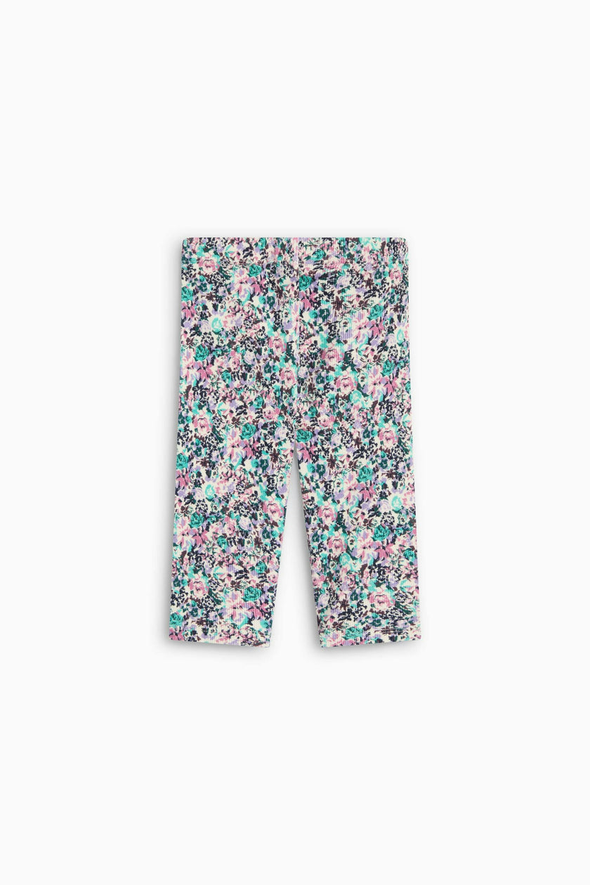 TNS Logo Rib Baby Legging Special Ashby Print