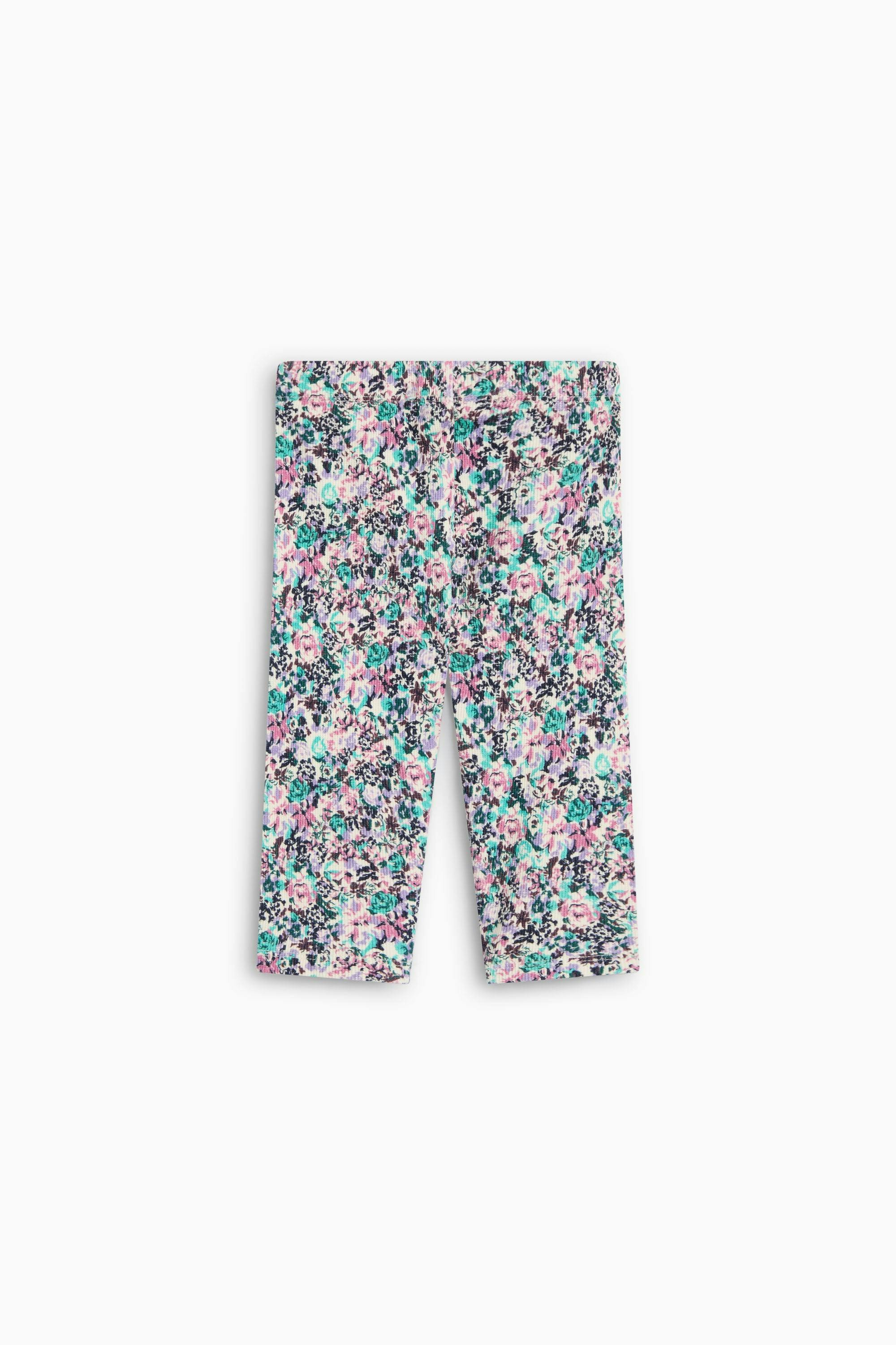 TNS Logo Rib Baby Legging Special Ashby Print