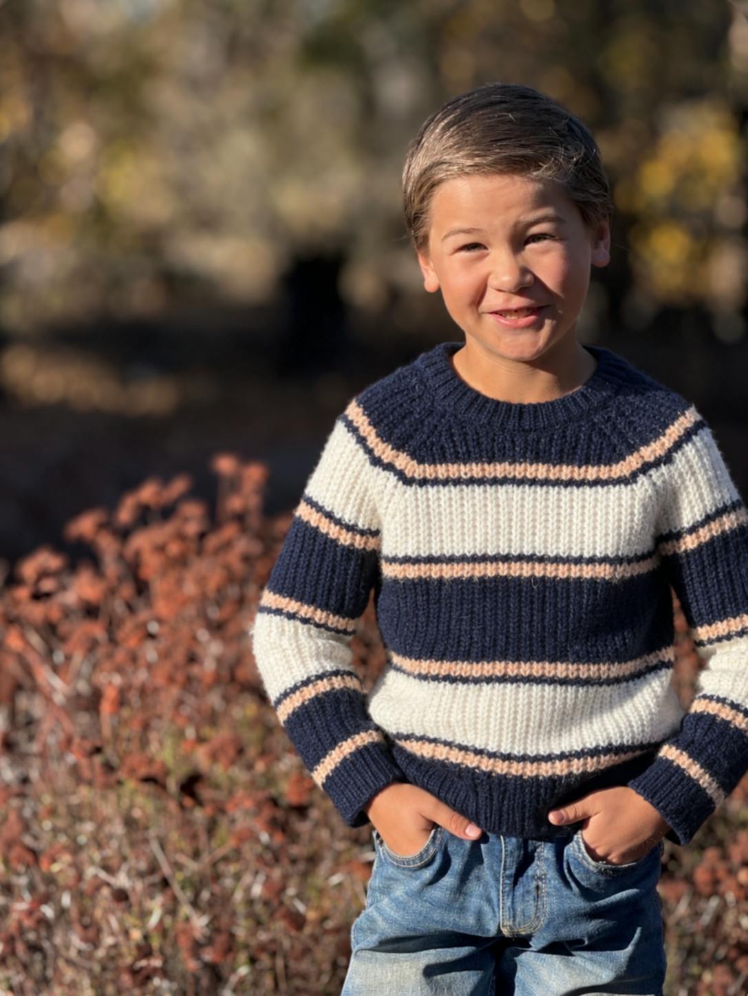 CHUNKY blue/cream sweater