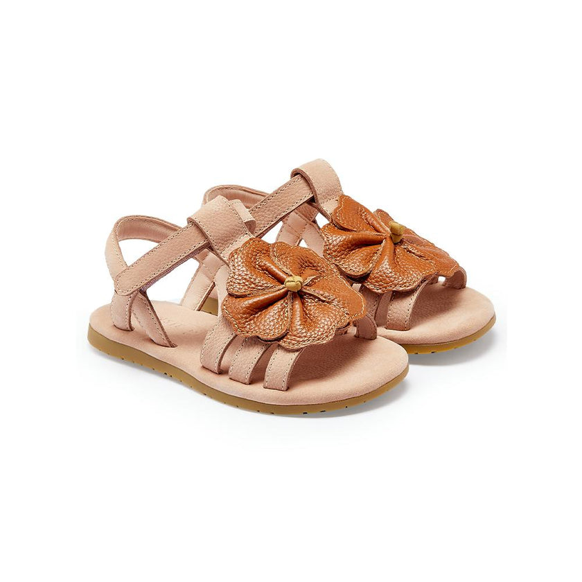 Iles Fields Sandals | Hibiscus | Coral Betting Leather