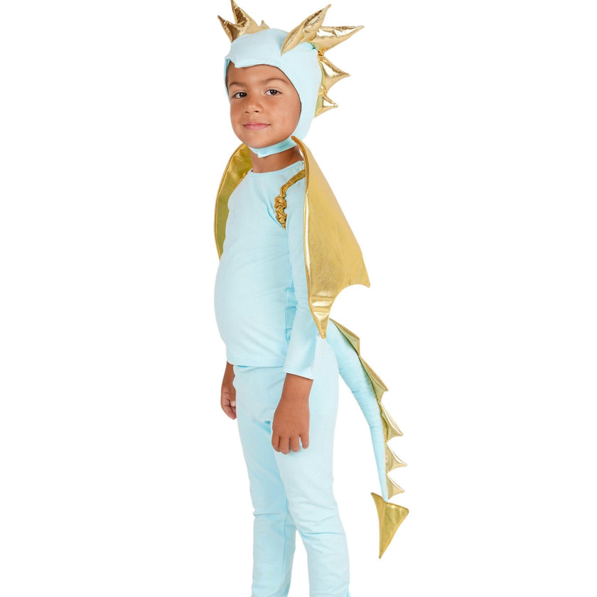 Sky Blue Dragon Costume
