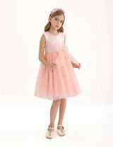 Blush Felice Tulle Bow Dress