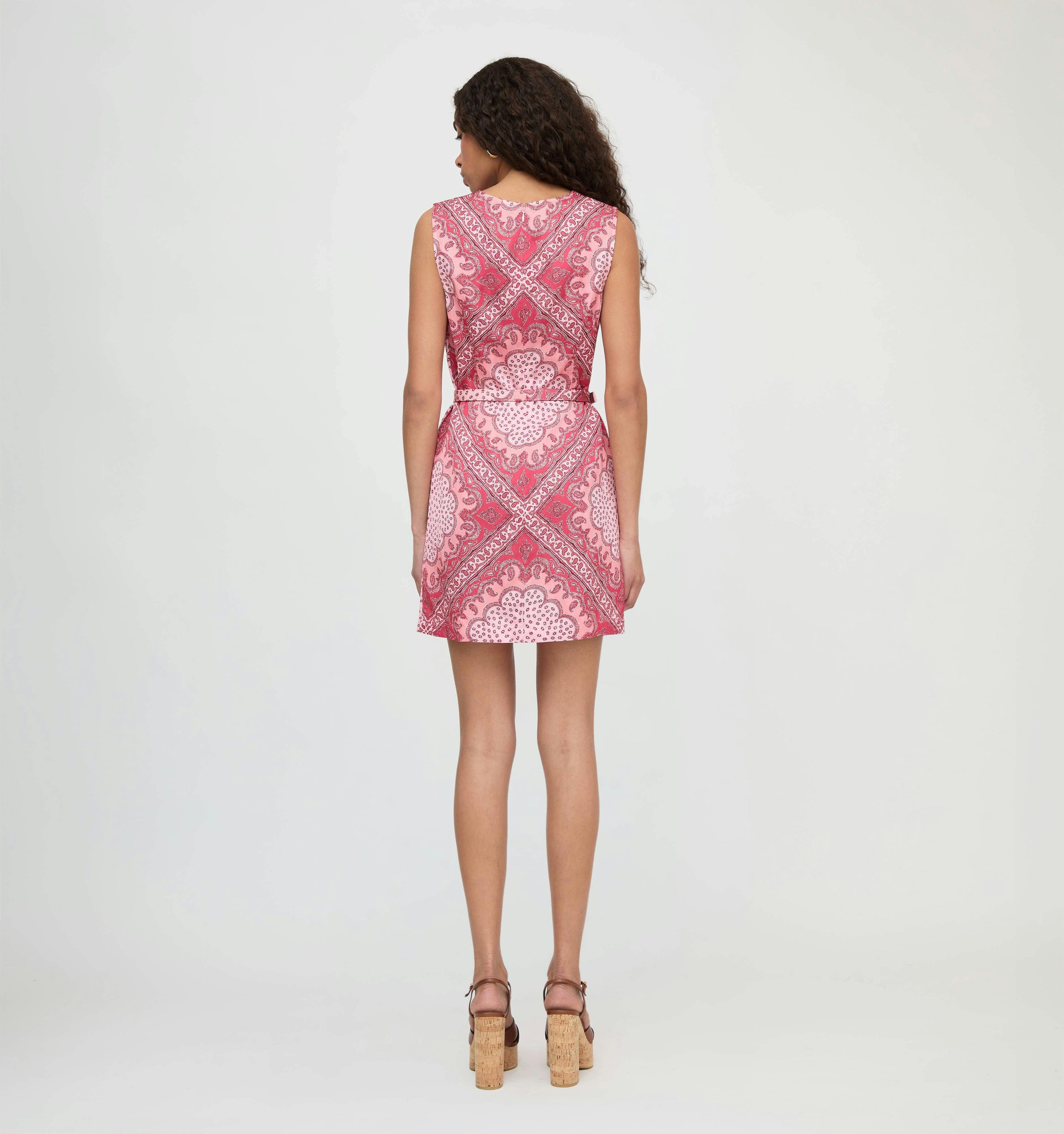 The Viola Dress - Berry Paisley Scarf