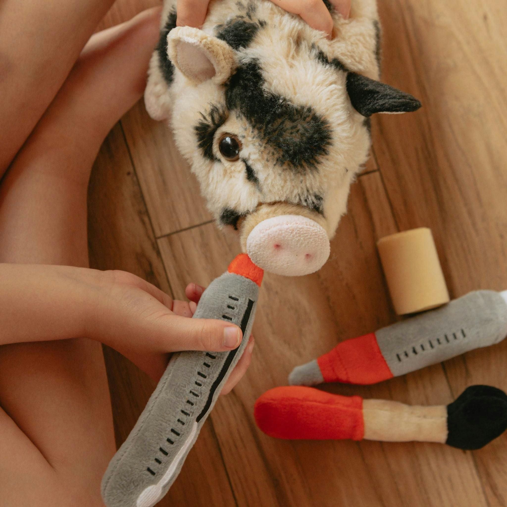 Pet Vet
