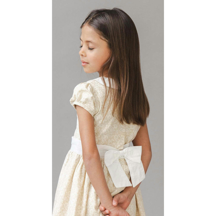 Short Sleeve Linen Dress with Peter Pan Collar, Brown