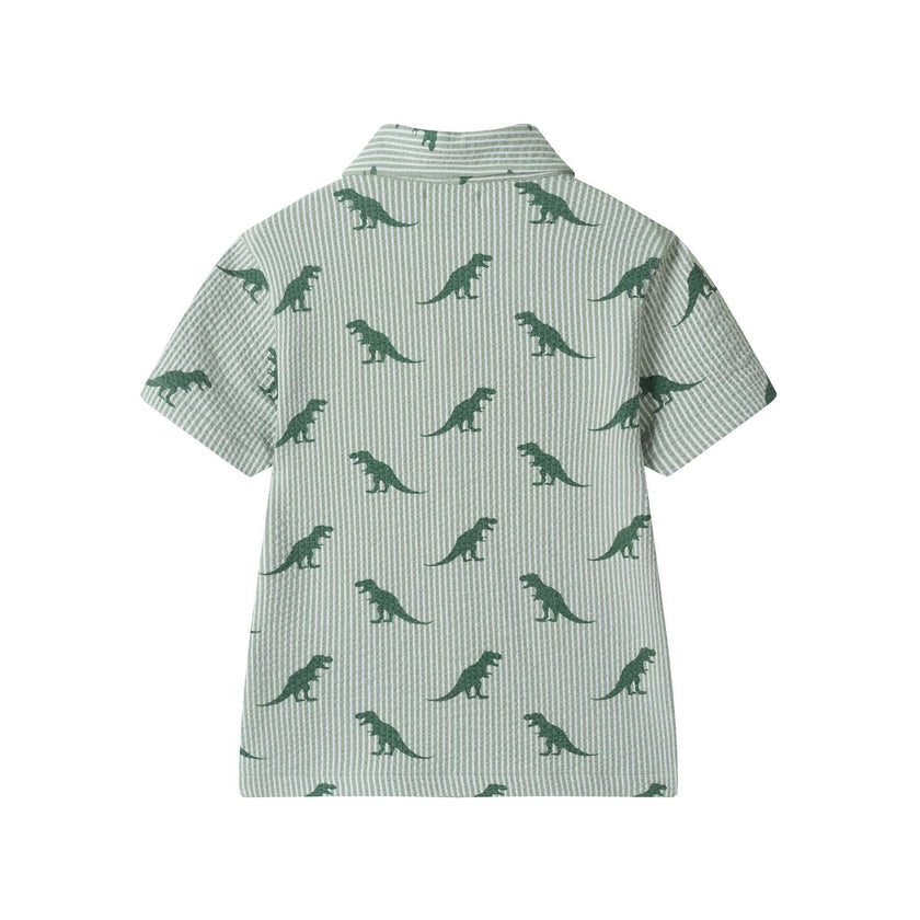 Boys Short Sleeve Cabana Set | Green Stripe Dino