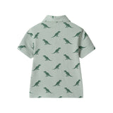Boys Short Sleeve Cabana Set | Green Stripe Dino
