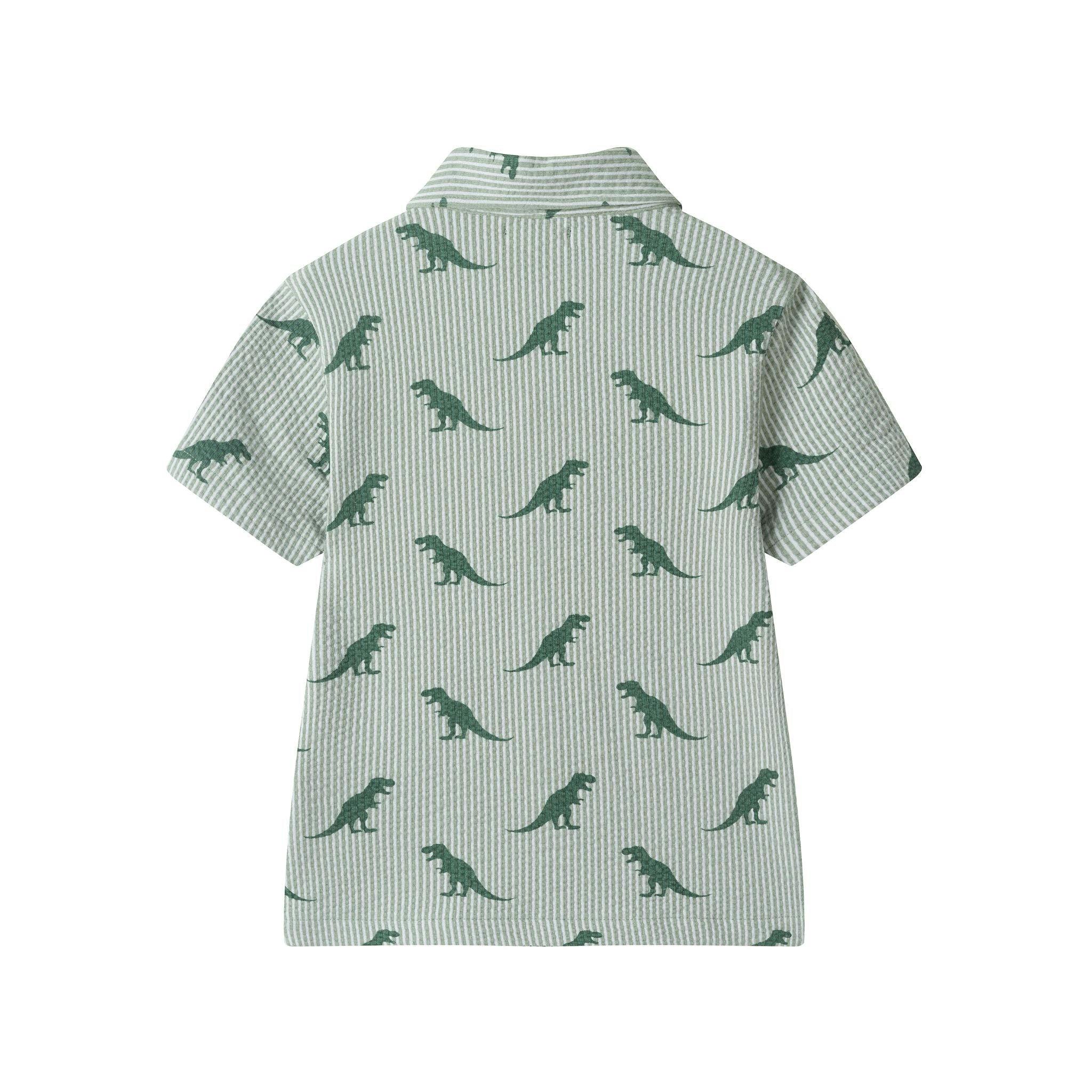 Boys Short Sleeve Cabana Set | Green Stripe Dino