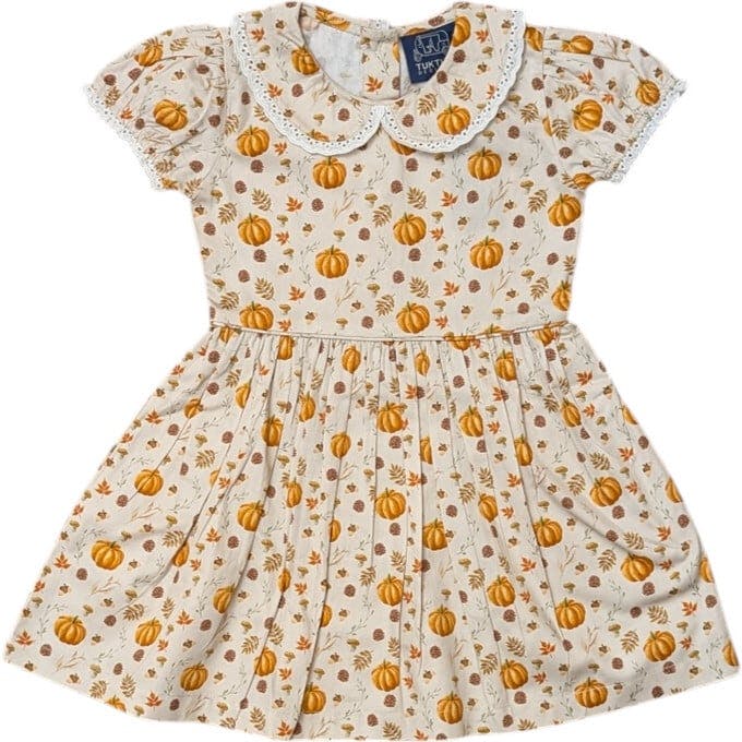 Fall Medley Peter Pan Collar Dress