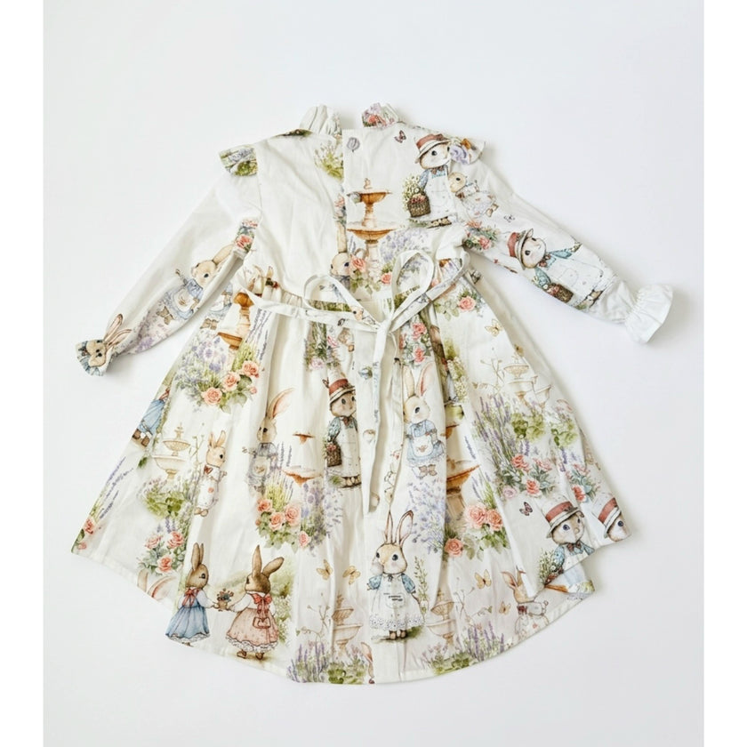 Aoki  Dress | Long Sleeve