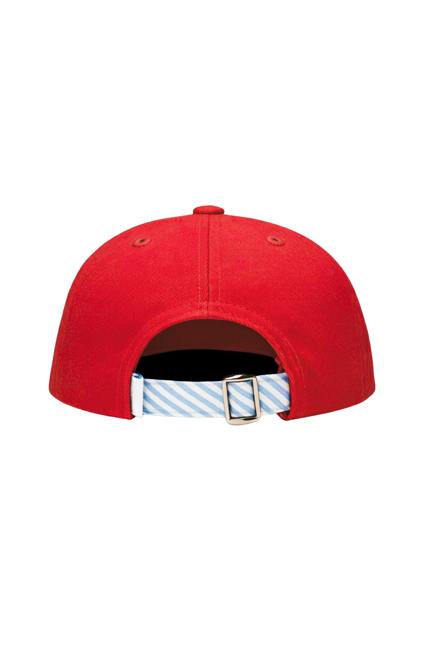 Baseball Bats Baseball Hat