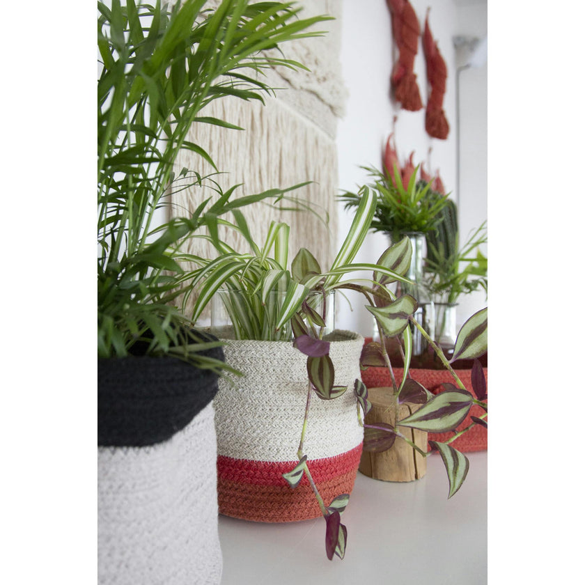 Mini Tricolor Basket