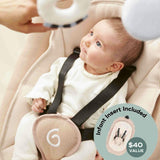 Swoon Evolution Connect Smart Baby Swing