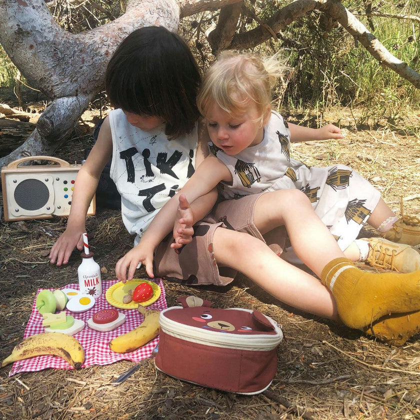 Little Bear's Picnic