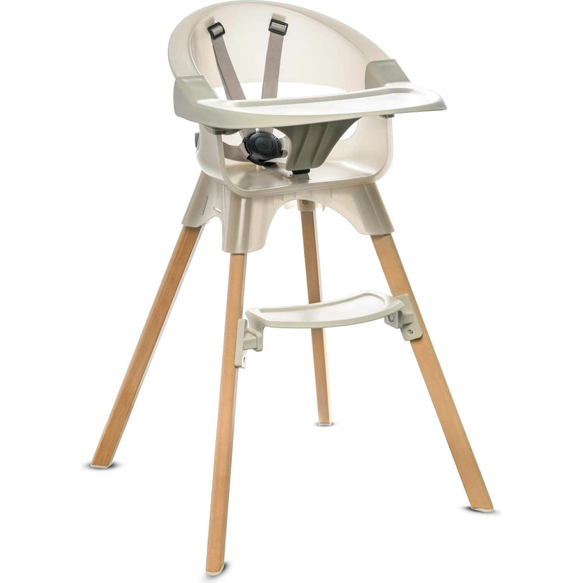 Terra 2-in-1 High Chair & Booster