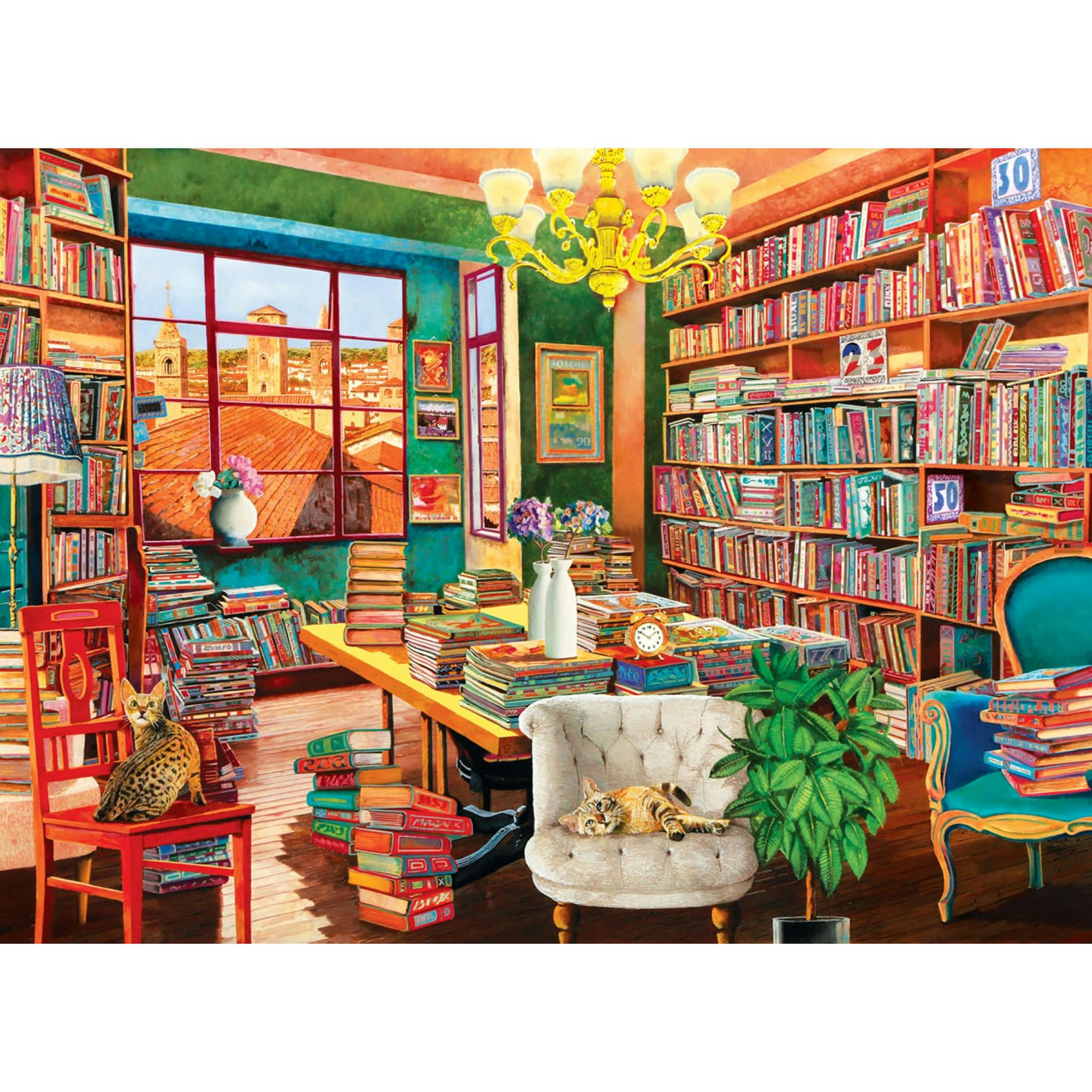 The Old Library - 1000 PC Puzzle