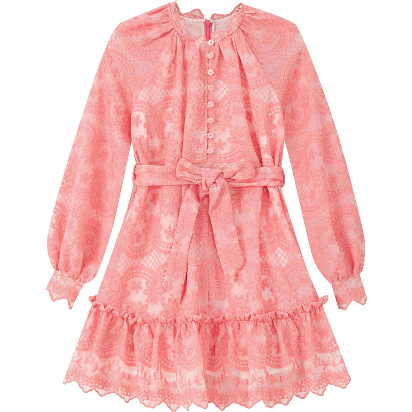 Kaia Lace Embroidered Mini Dress