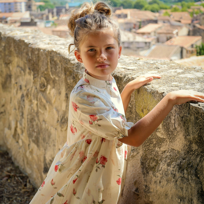 Madeleine Dress- Rose Garden Toile