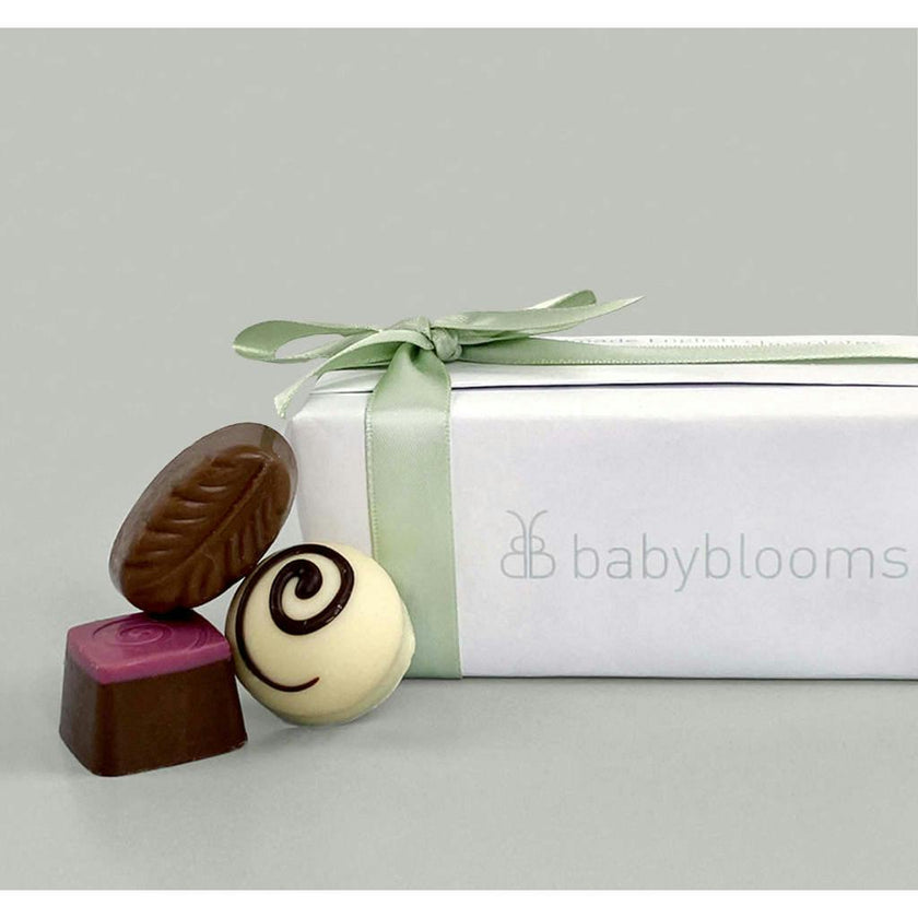 Berkeley Bear's Christmas New Baby Gift Basket