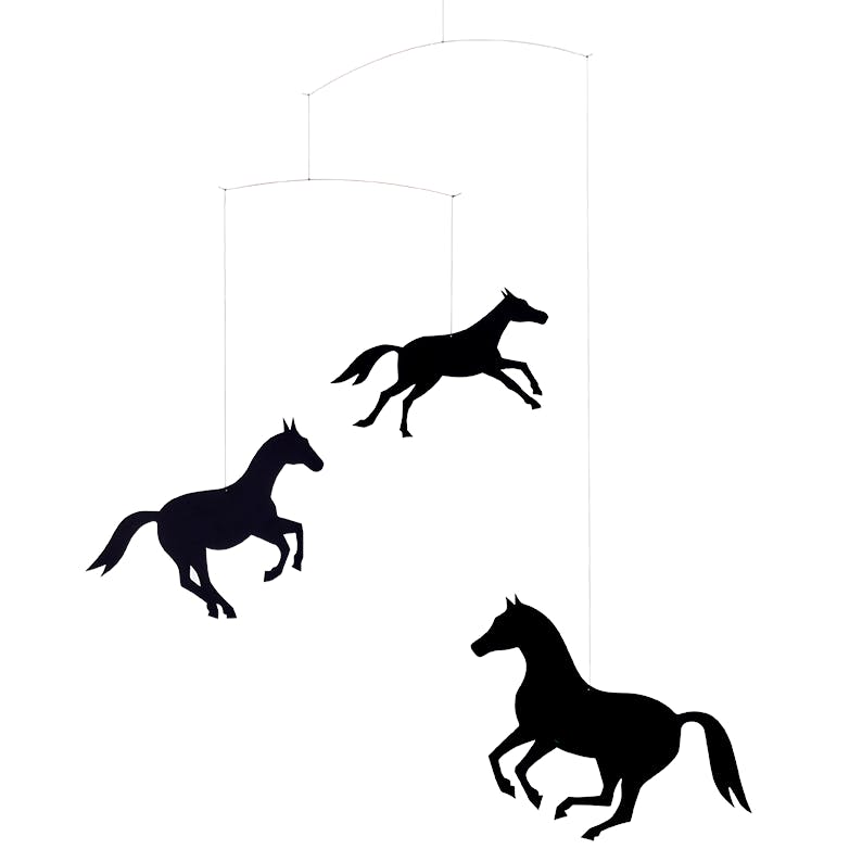 Horses.