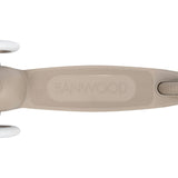 Eco Scooter
