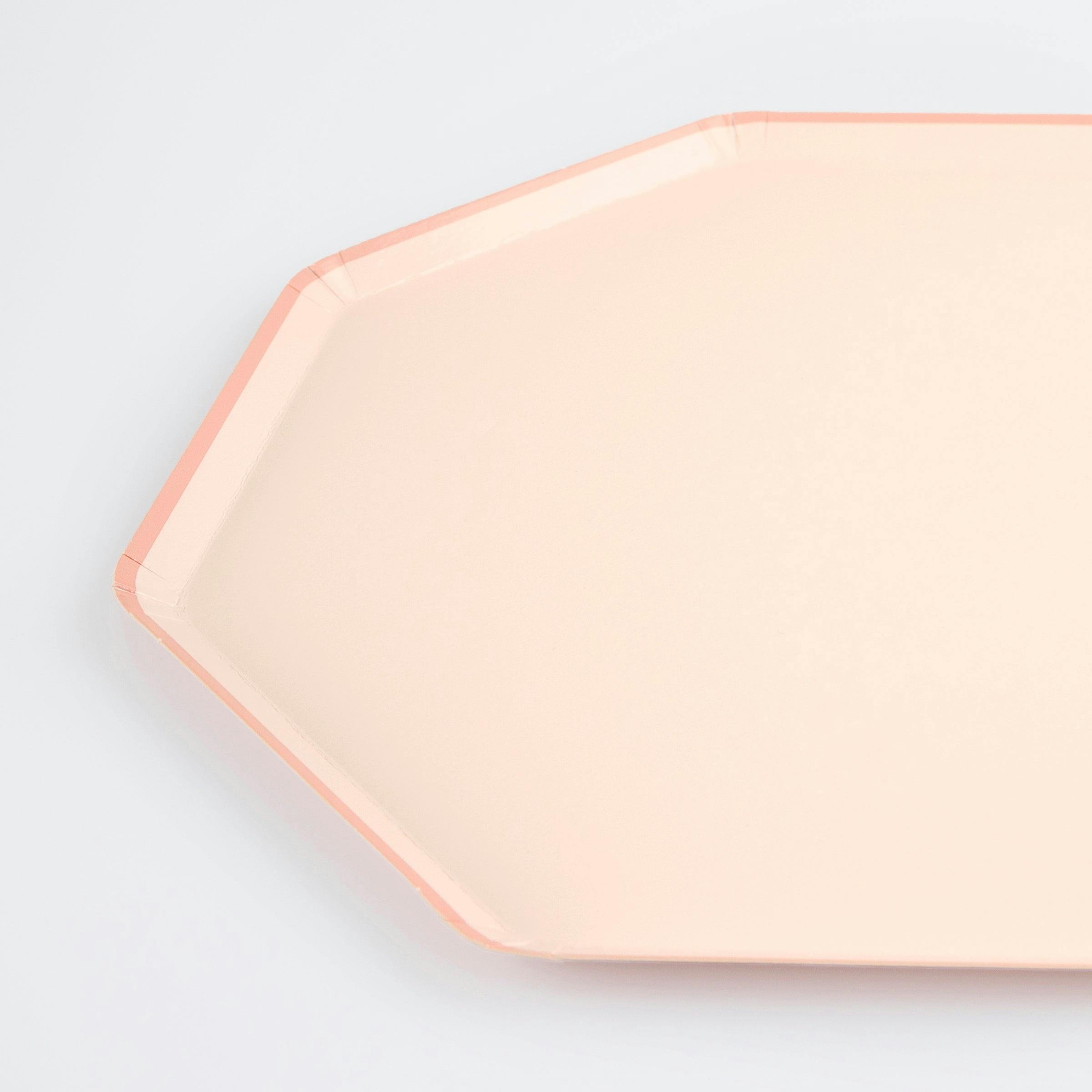 Ballet Slipper Pink Dinner Plates