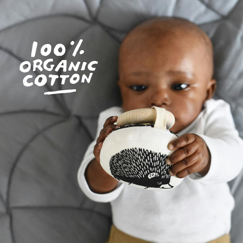 Sensory Bundle for Baby