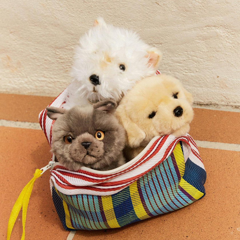 BT CHAPS FREDDY THE BRITISH SHORTHAIR FLOPPY in Giftbox 6.5"