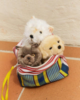 BT CHAPS FREDDY THE BRITISH SHORTHAIR FLOPPY in Giftbox 6.5"