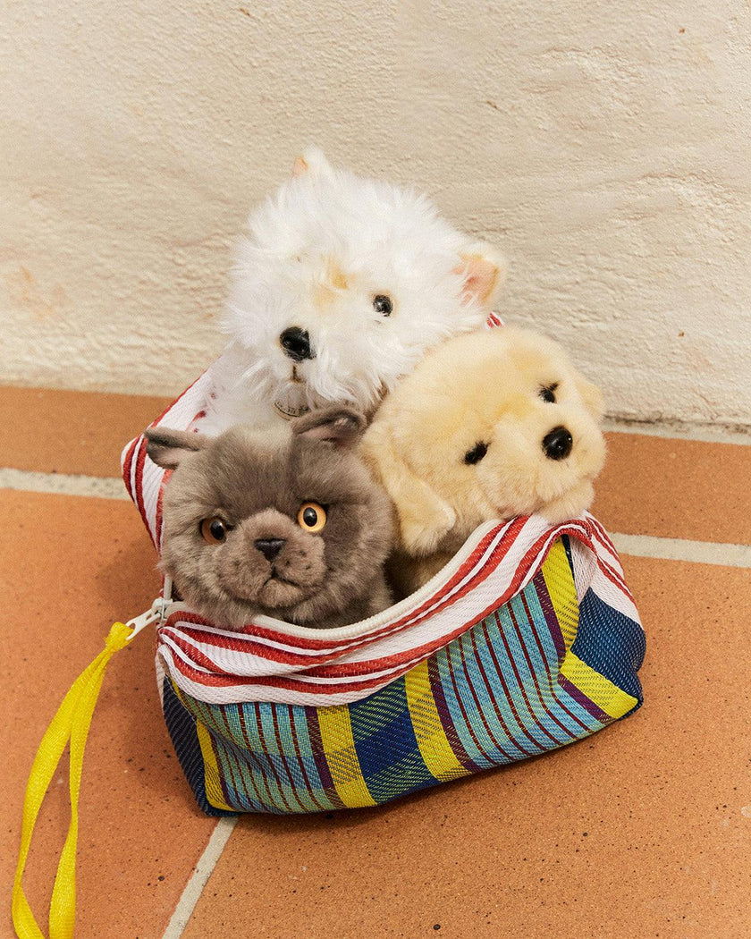 BT CHAPS FREDDY THE BRITISH SHORTHAIR FLOPPY in Giftbox 6.5"