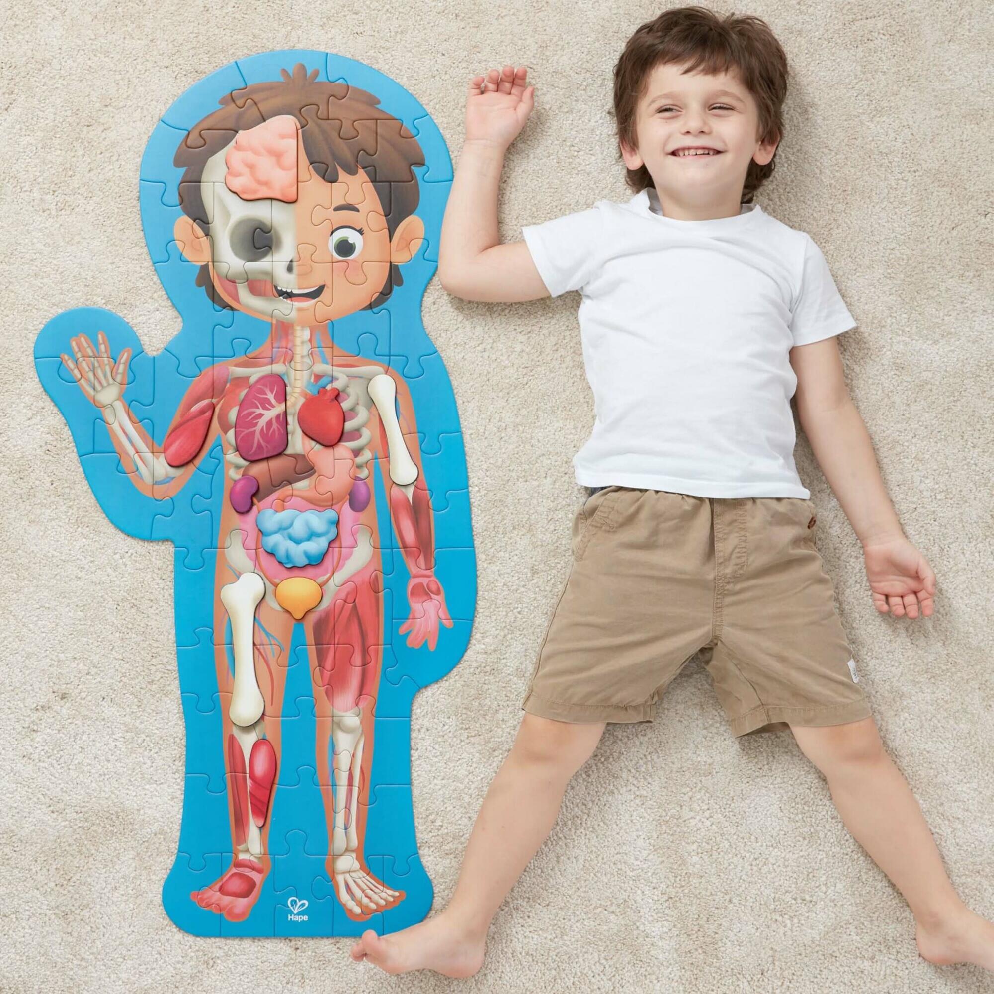 Human Body Jigsaw Puzzle