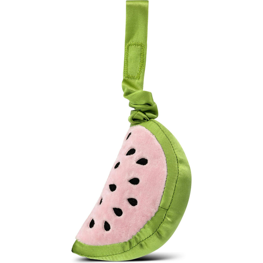 Watermelon Stroller Toy