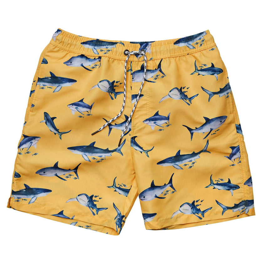 Mens Sunrise Volley Board Short