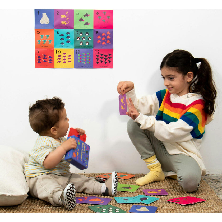 What's The Number? Number Flashcards