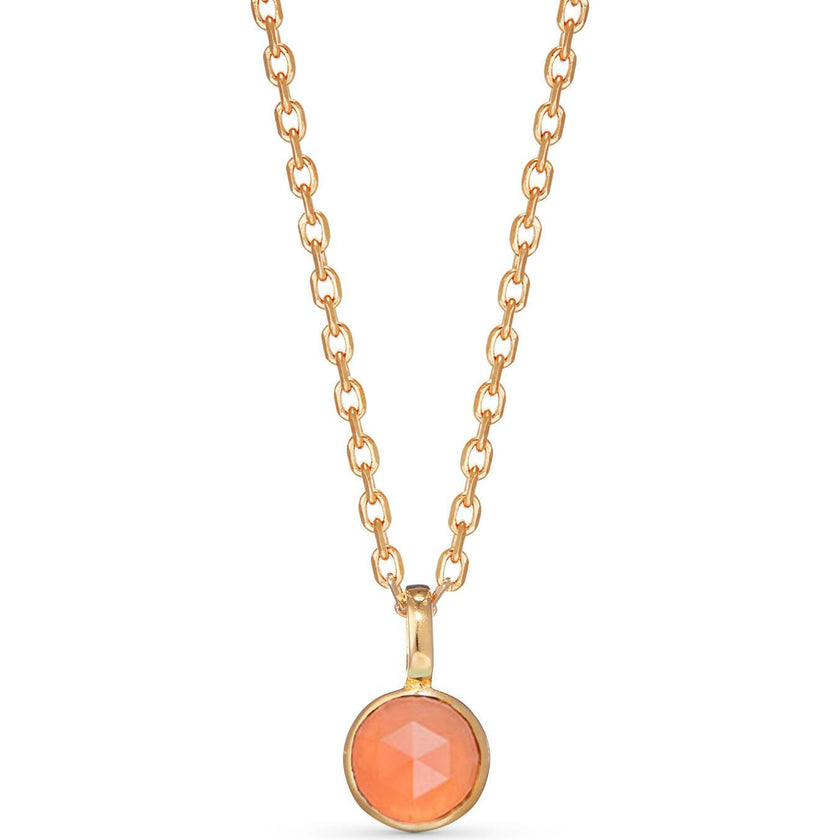 Personalized Birthstone Necklace, 14k Gold Plated