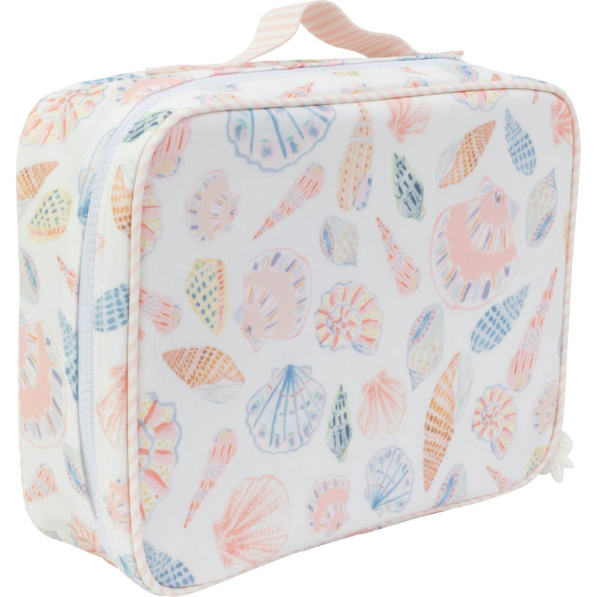 The Lunchbox in Shells