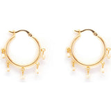Malibu Mini Hoops  ~ Salty Shells