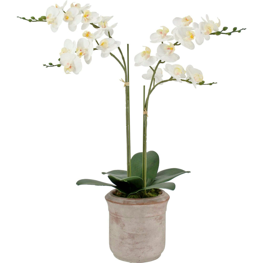 Artificial 2-Stem Phalaenopsis White Orchid