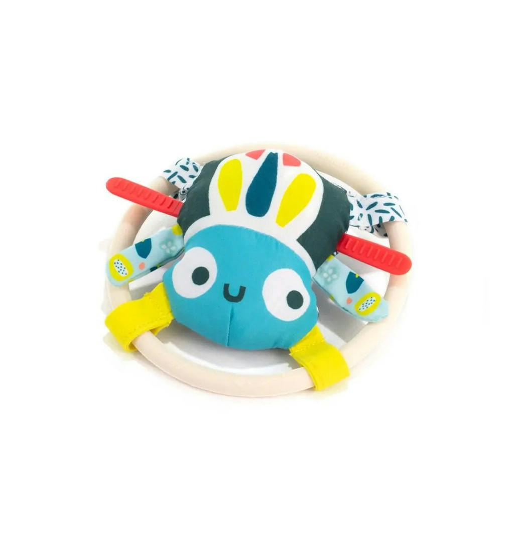 Feel to Learn: Spider rattle