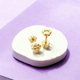 Paws-itively Adorable Set