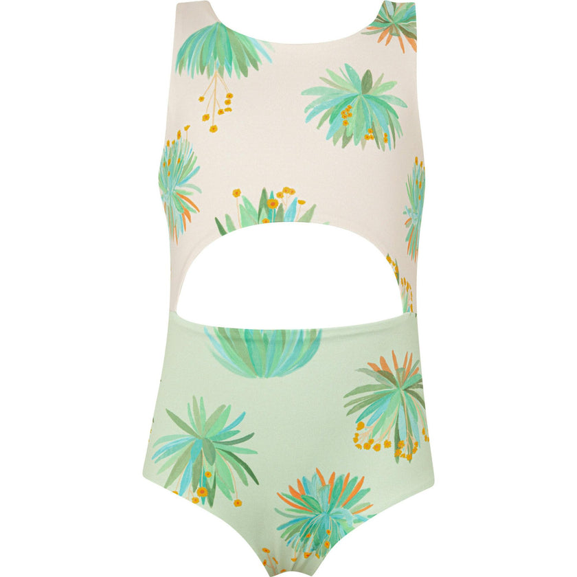 FRAILEJONES CRUDO - TRIKINI ABI