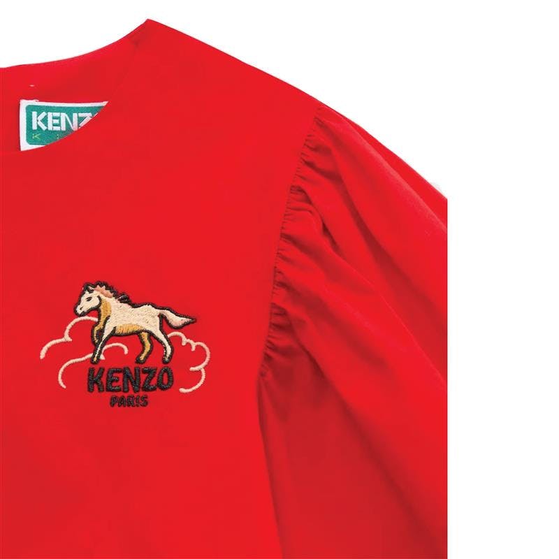 Lunar New Year' Embroidered Dress in Poplin